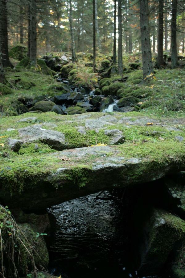 Draengstugan I Humla Blidsberg Dış mekan fotoğraf