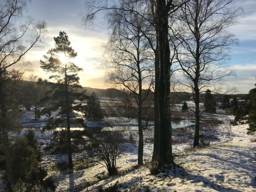 Draengstugan I Humla Blidsberg Dış mekan fotoğraf